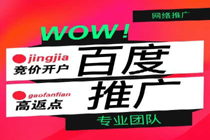 百度推广案例：从品牌知名度到用户粘性的转变
